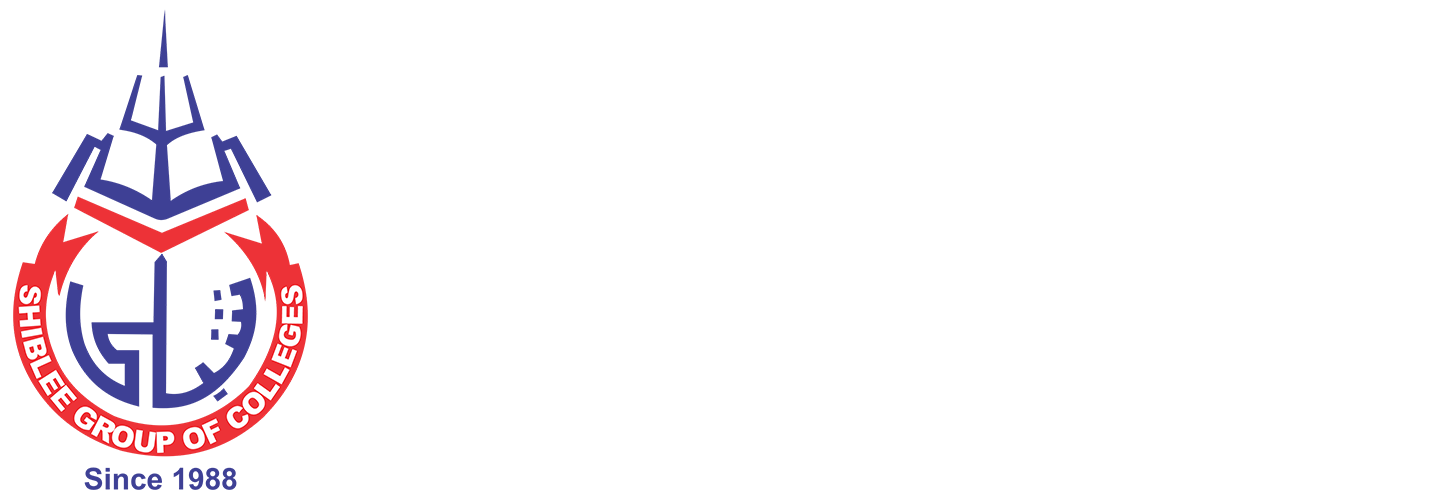 Shiblee group of colleges faisalabad jobs